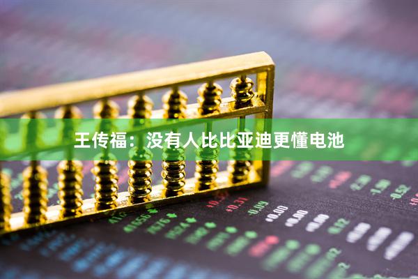 王传福：没有人比比亚迪更懂电池