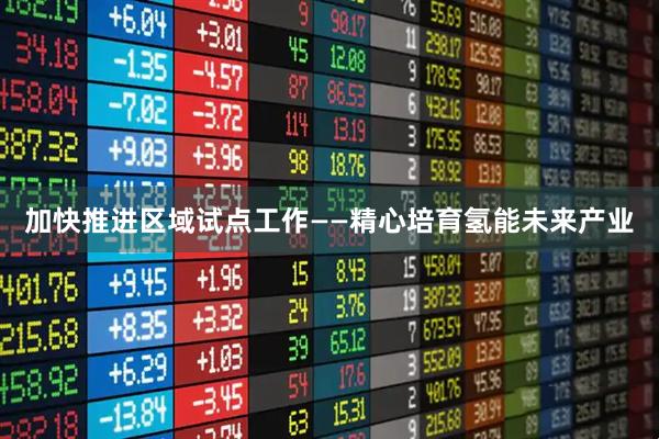 加快推进区域试点工作——精心培育氢能未来产业